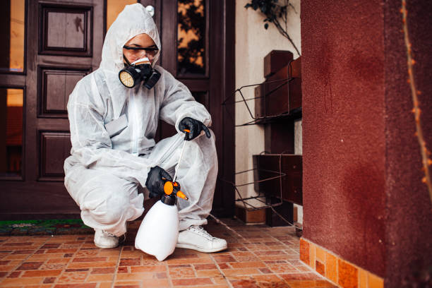 Reliable Cockroach Control contractor in Winter Haven, FL by Nex Pest Control
